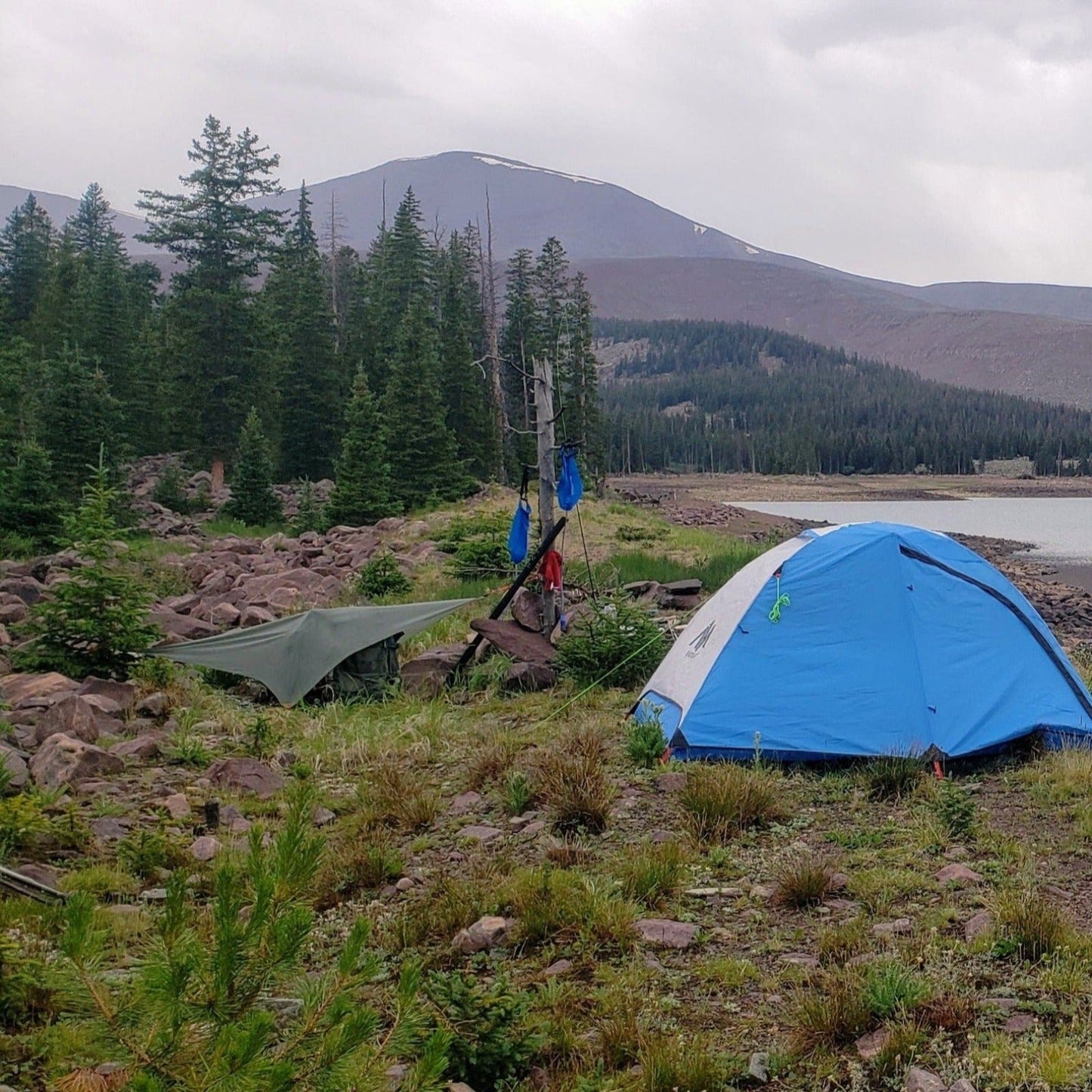 Universal Ground Tarp